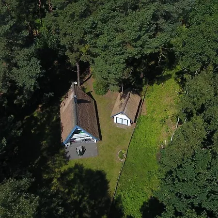 Sommerhaus Im Dunenwald *